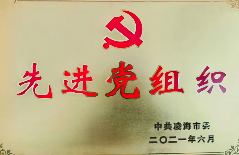 先进党组织