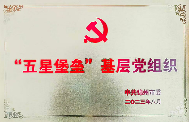 “五星堡垒”基层党组织