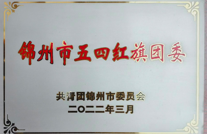 锦州市五四红旗团委